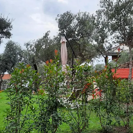 Apartmán Poggio Degli Ulivi *