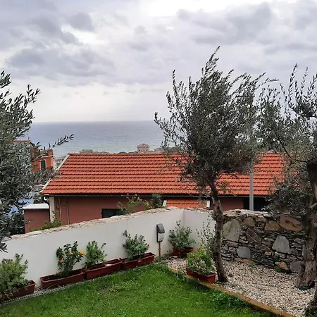 Poggio Degli Ulivi